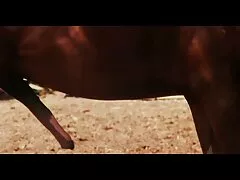 Hd phim xxx full khiêu dâm lớn tits hd blowjob hd vàng hd milf hd cạo